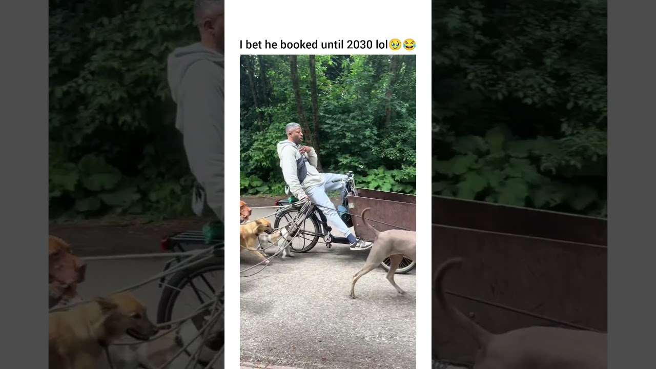This is exactly what it looks like when you create my dream life 😌🥹 #dog #dogshorts #petshub #pets
