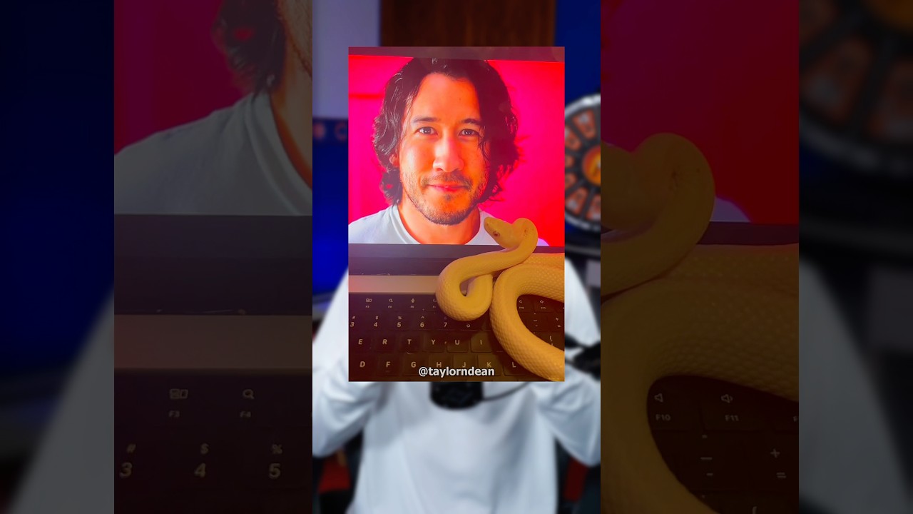 This Snake Hates Markiplier 💀