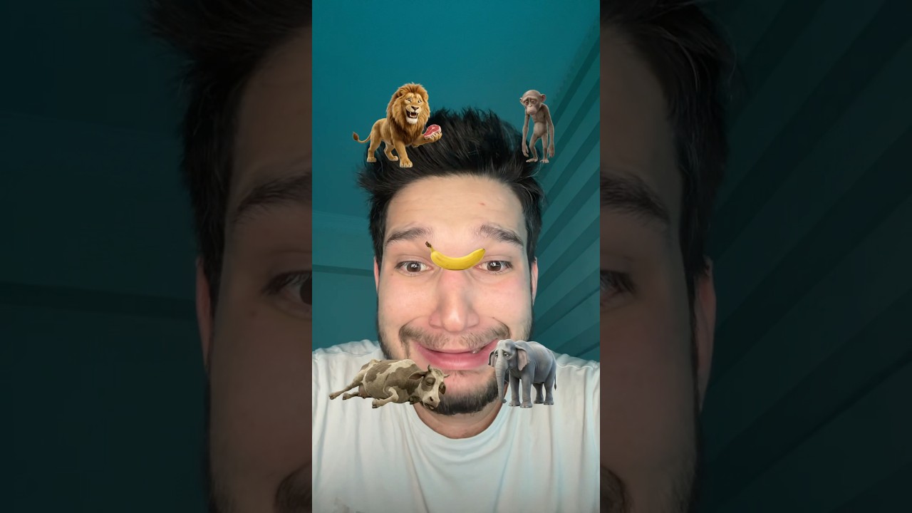 Yemek eşleştirmesi