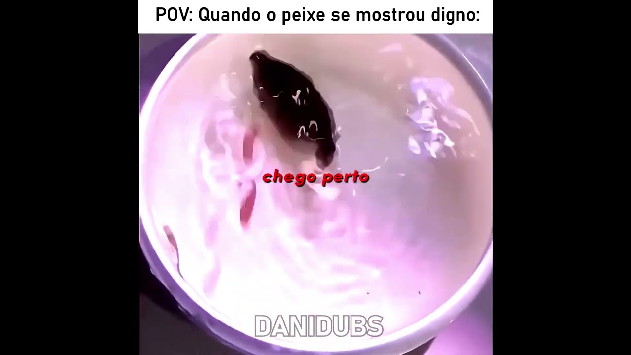 Será que o peixe mereceu sobreviver? 🥶 #edit #humor #memes #fyp #animals