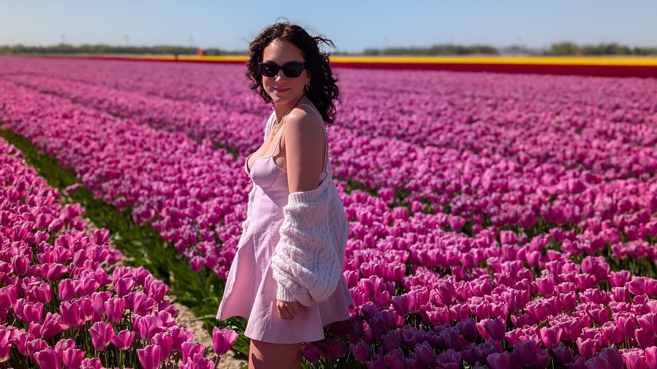 VISITEI OS CAMPOS DE TULIPAS NA HOLANDA! 