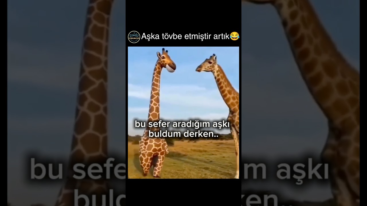 dolandirildik lan demiştir kesin😂