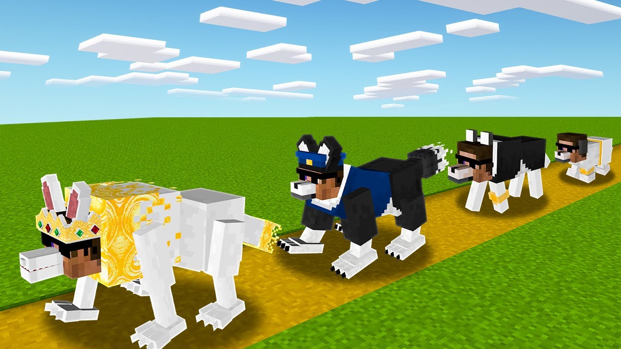 From to Birth to Death as a Dog in Minecraft..
