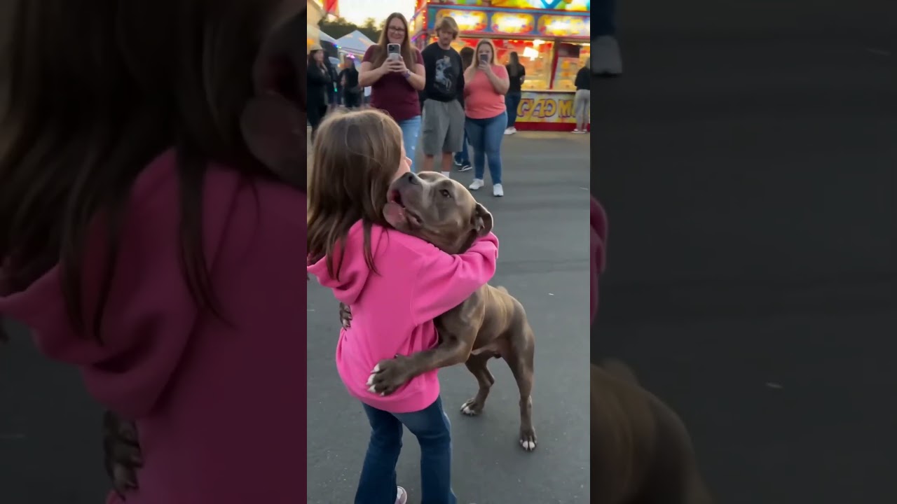 Pit Bull rushes in for a heartfelt reunion at the county fair