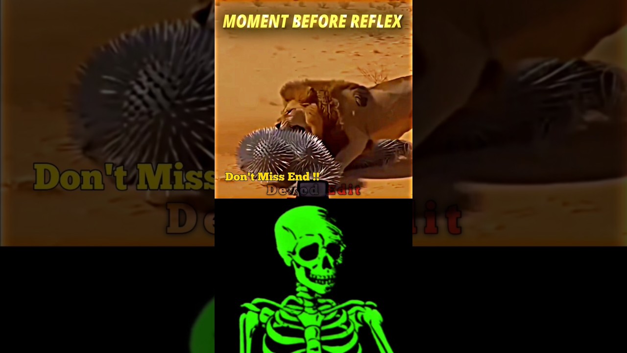 #loss