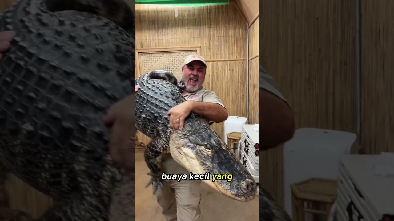 Paman Ini Pensiun, Tapi Semua Hewan Datang Mengucapkan Selamat Tinggal 😭❤️  #animals #hewan