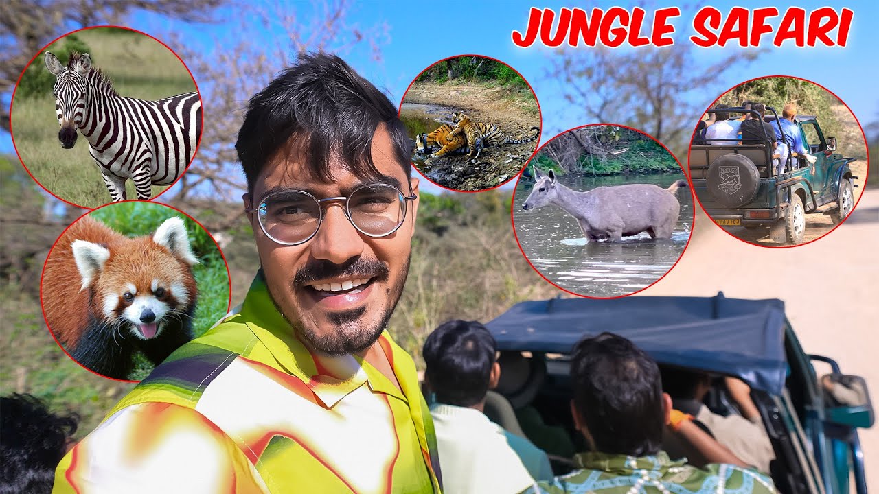 Jungle Me Chale Gaye Safari Karne🦁| क्या जंगल में शेर मिलेगा?