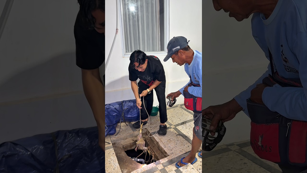 Bangkai ayam di dalem sumur mas preman #shorts #minivlog #comedy #sidoii