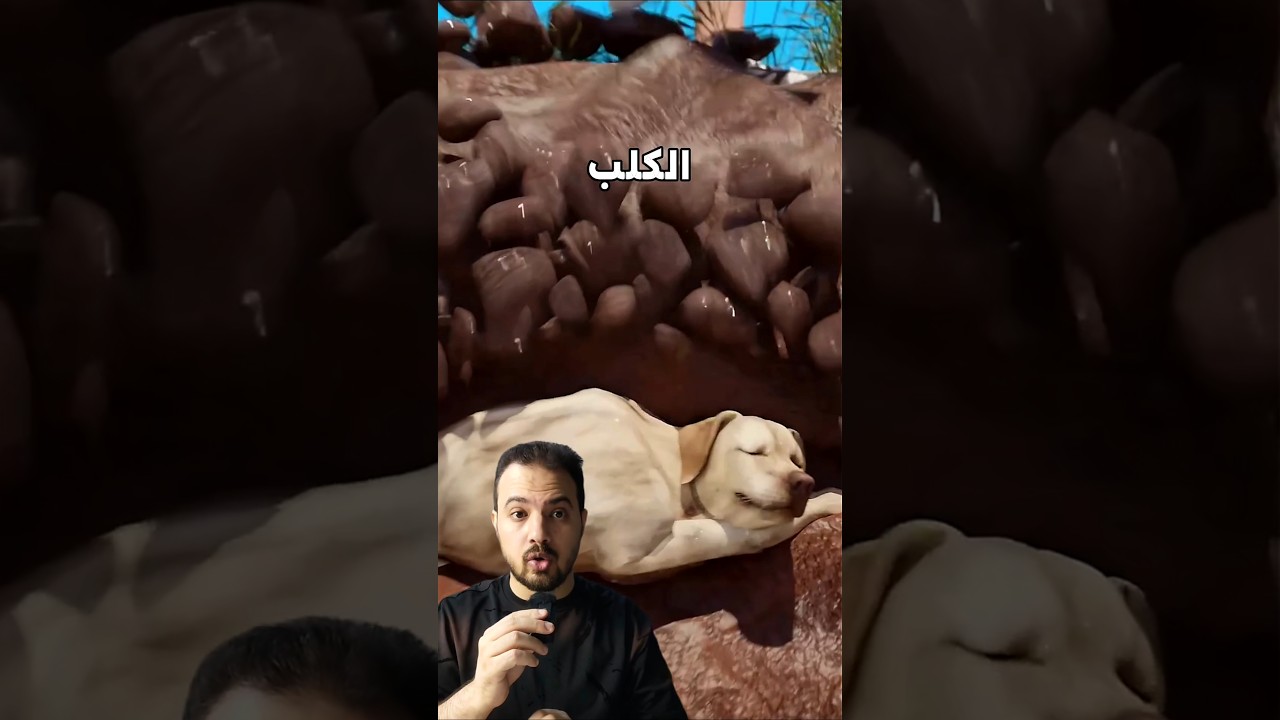 مش عارفين أنه لسه عايش