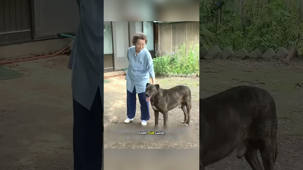 بعد 5 سنوات… لحظة واحدة غيّرت كل شيء! 🥺❤️‍🩹