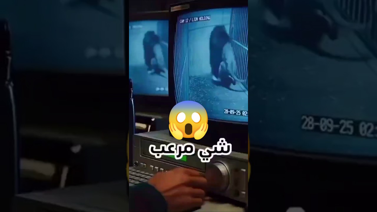 مش حتصدق الاسد عمل ايه ⁉️😱 #shorts