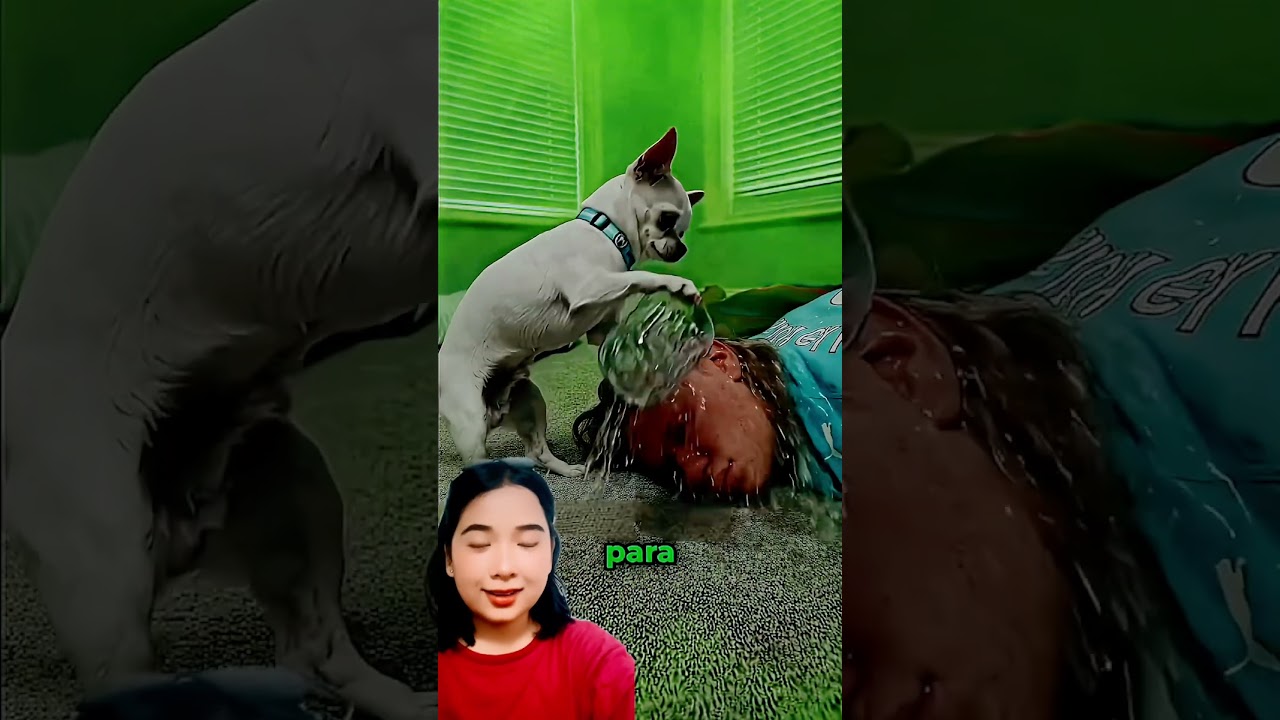 Udah siang belum bangun