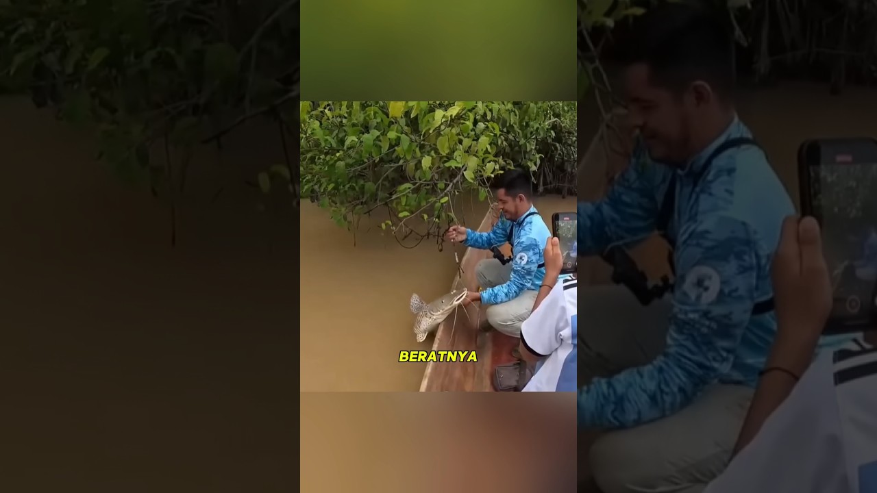 Mancing di Sungai Amazon Berubah Menegangkan! Ikan Catfish Raksasa 50 KG Berhasil Ditangkap#shorts