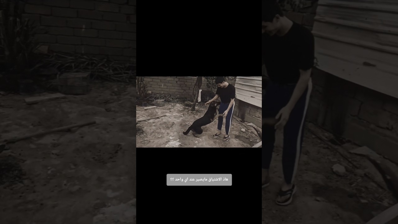 اشتياق كلبتي بعد غياب شهر !! 🥺💔