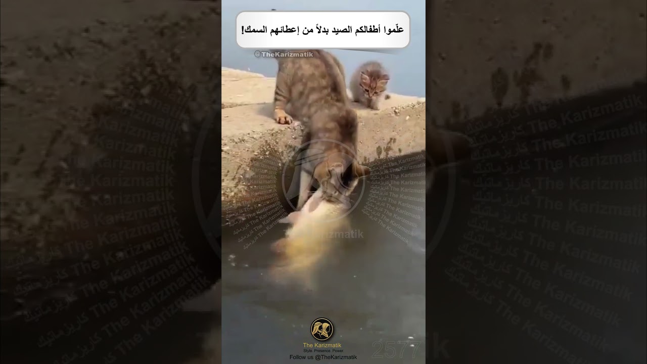 علّموا أطفالكم الصيد بدلاً من إعطائهم السمك!!!