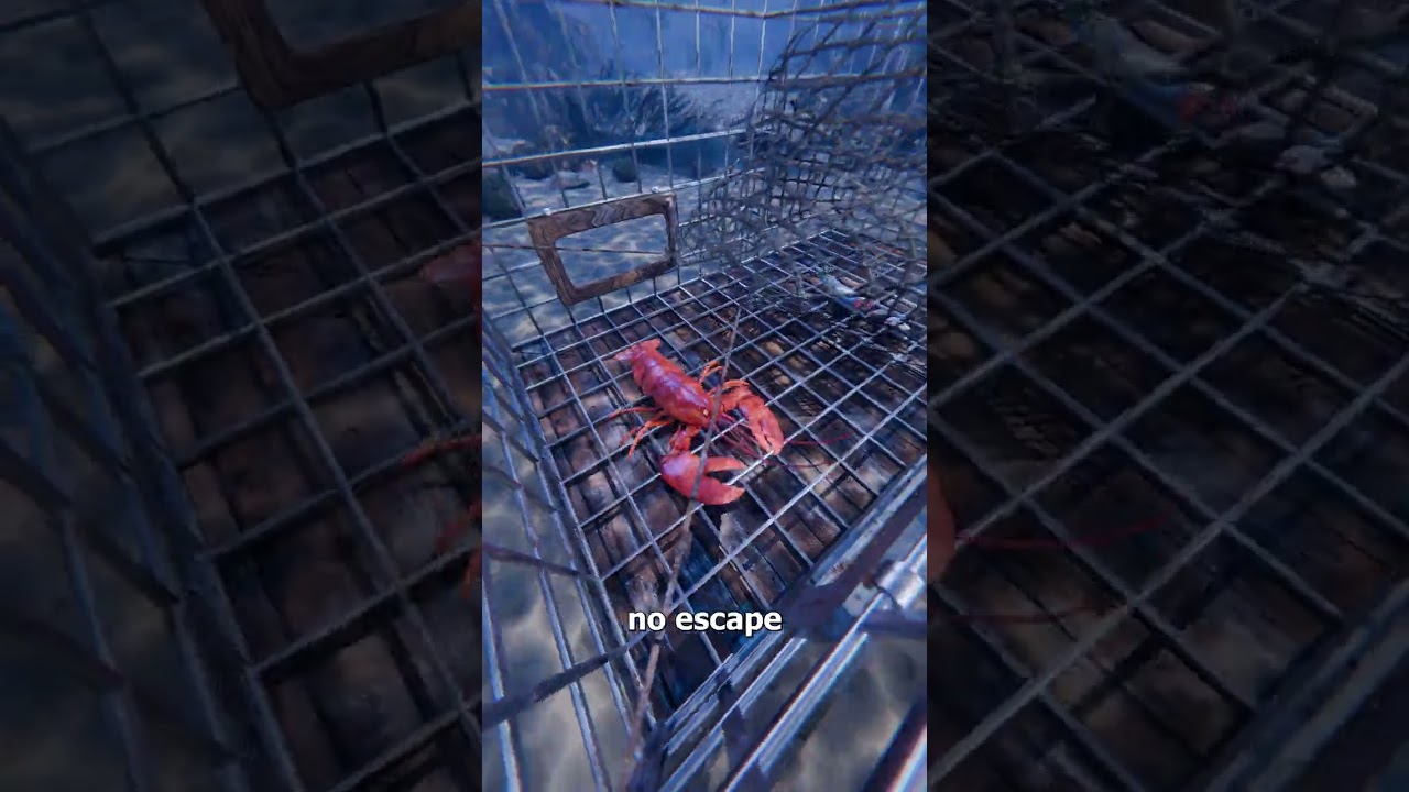 How Lobster Traps Actually Work 😮