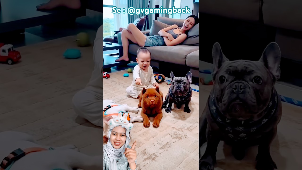 Anjing Ini Paling Gagal Akting! 😂  gvgamingback