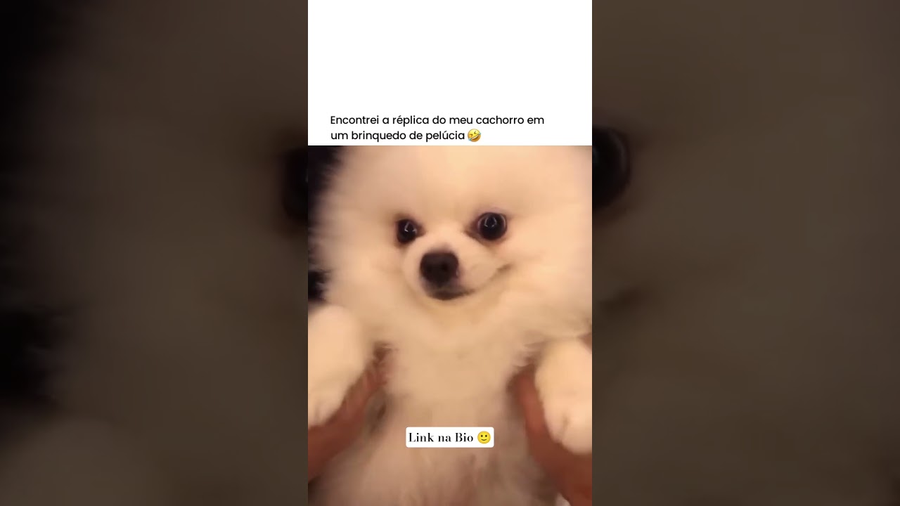 🛑 PRODUTO 352! ✨Gostou? Link na Bio 🙂🔗#shorts