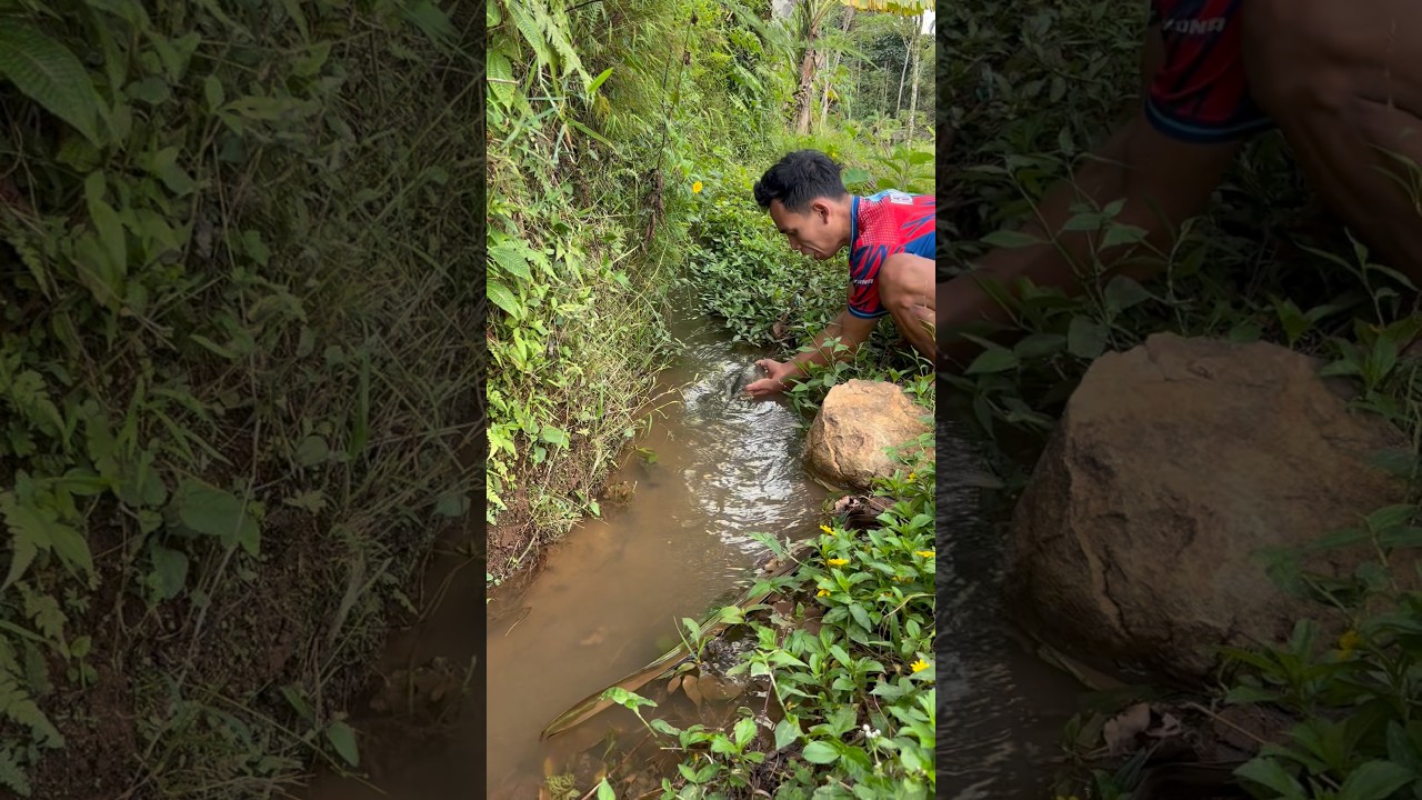 Lepasin ikan kesungai