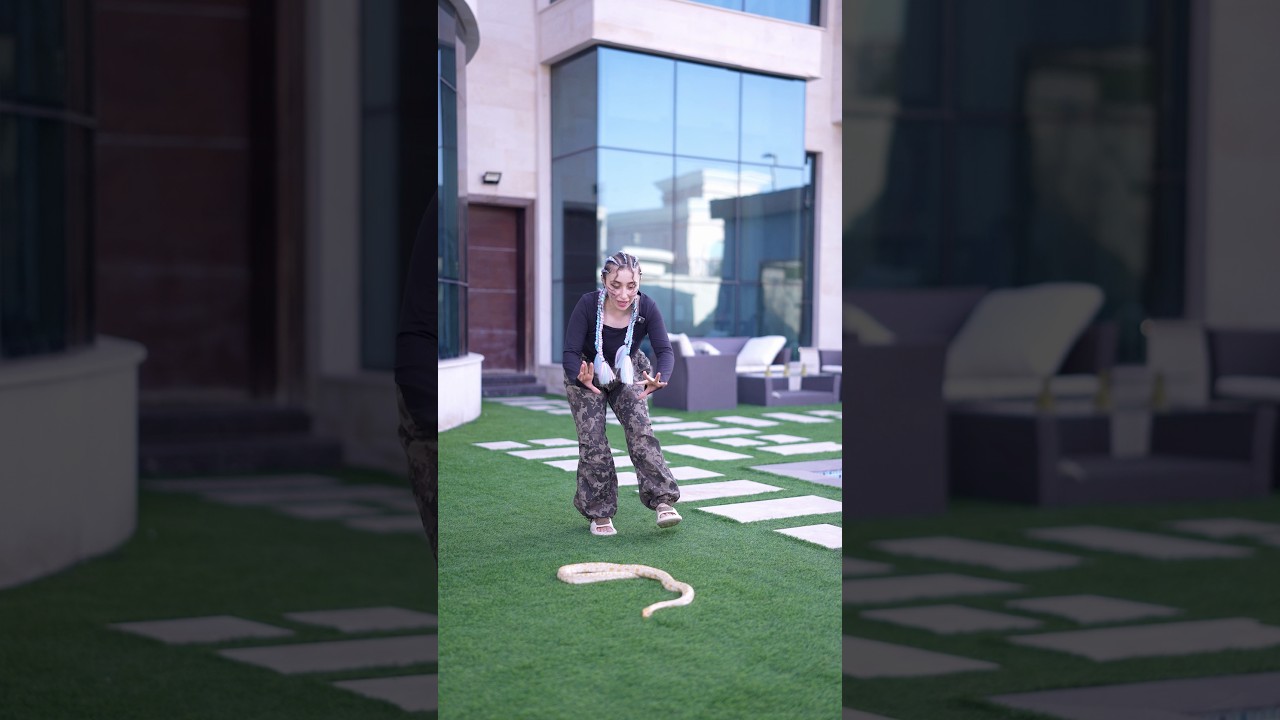 شفتو فلوق رمضان 🫢