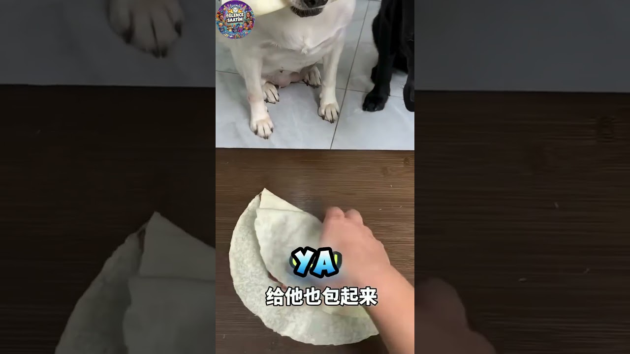 Ama Bu Bana Haksızlık 🙄😳 #shorts #keşfet