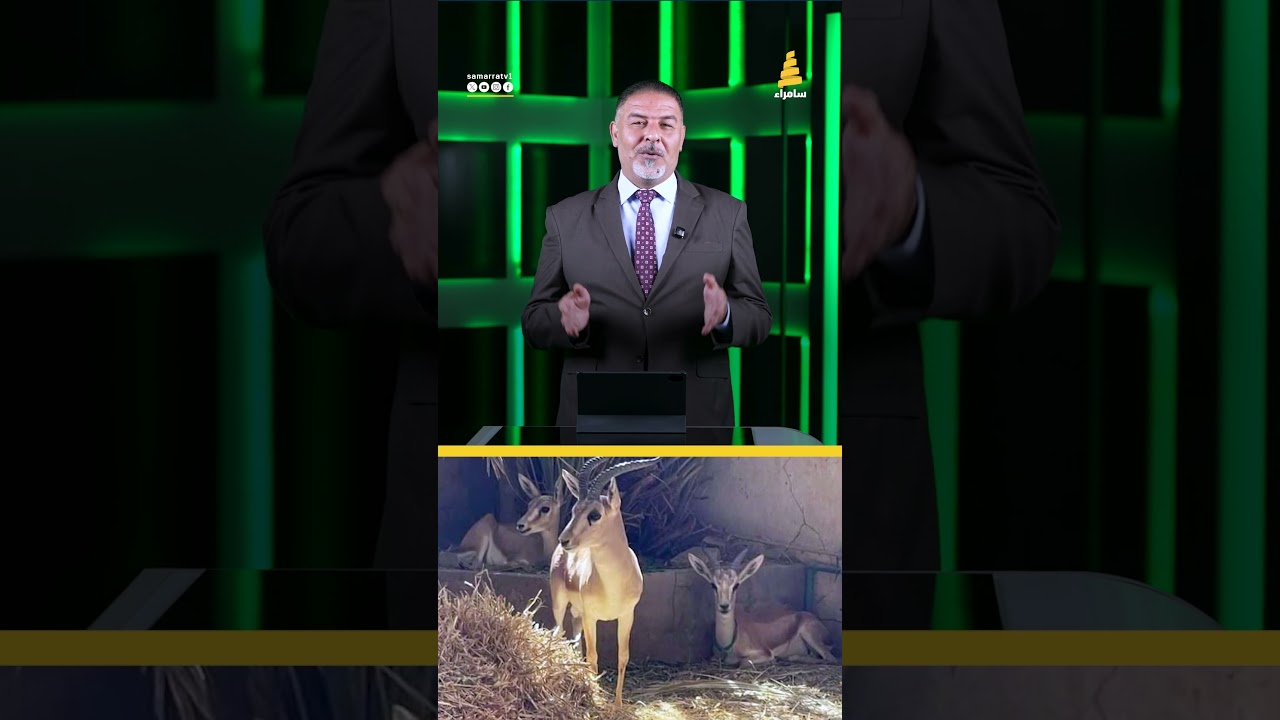 بلاوي جديدة في قضية طلال الزوبعي