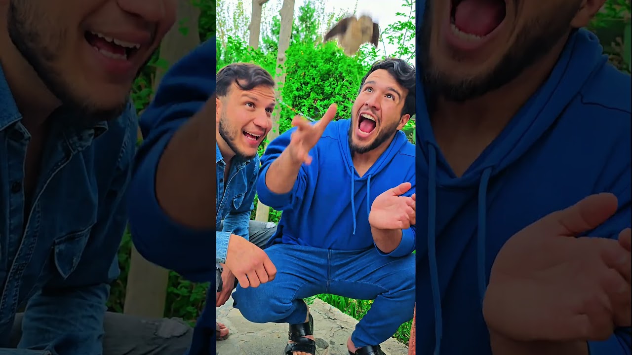 Poor poor boy was made fun of for his gay house sparrow 🦜😇🥰