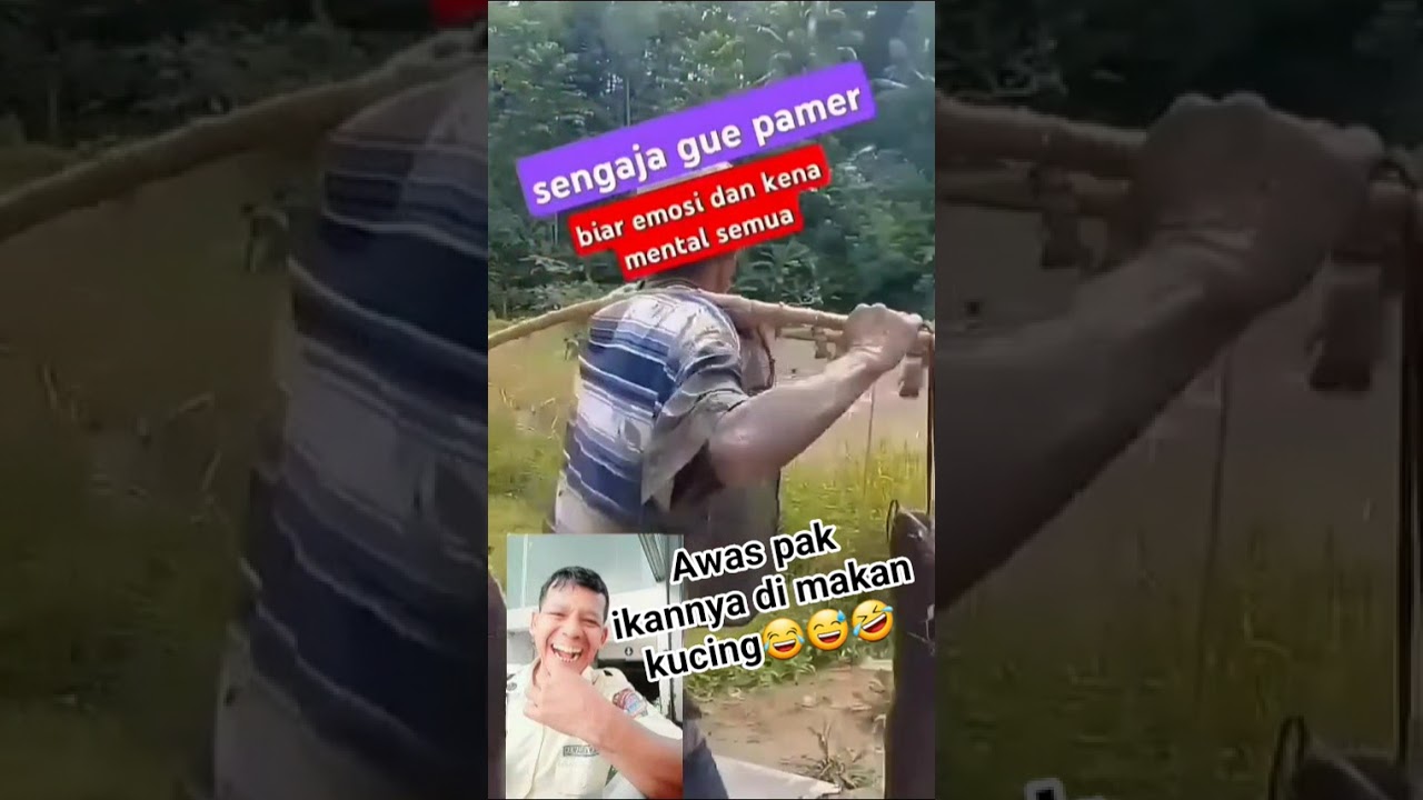 #ikan besar besar di pameran ntar di garong kucing nangis😂😅🤣 #hiburanlucu #shorts