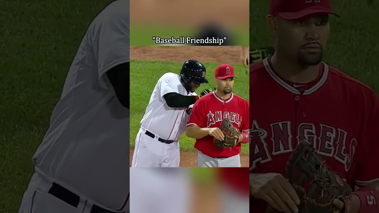MLB’s Sweetest Friendship Moments ⚾❤️ #MLB #Baseball #MLBMoments #SportsFriendship #fyp