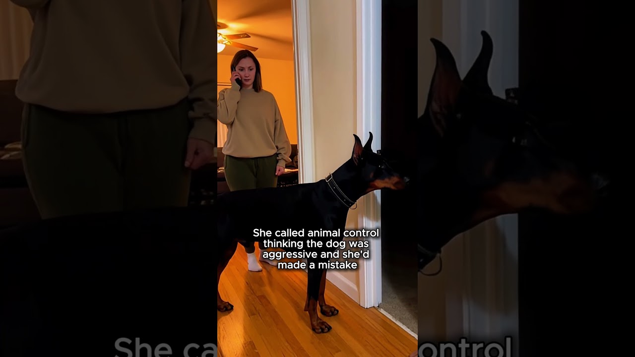 She Adopted A Senior Dog And He Saved Her Life That Same Night ❤️😢