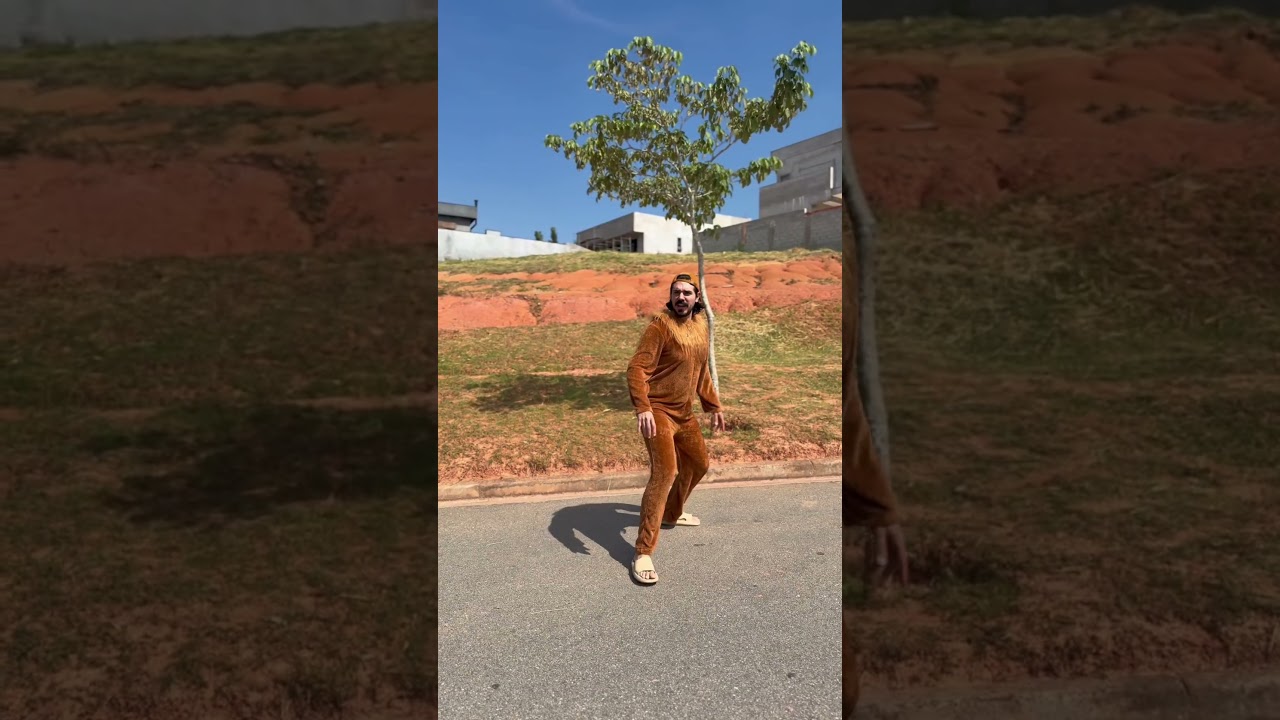 Quando o CACHORRO vê outro na rua