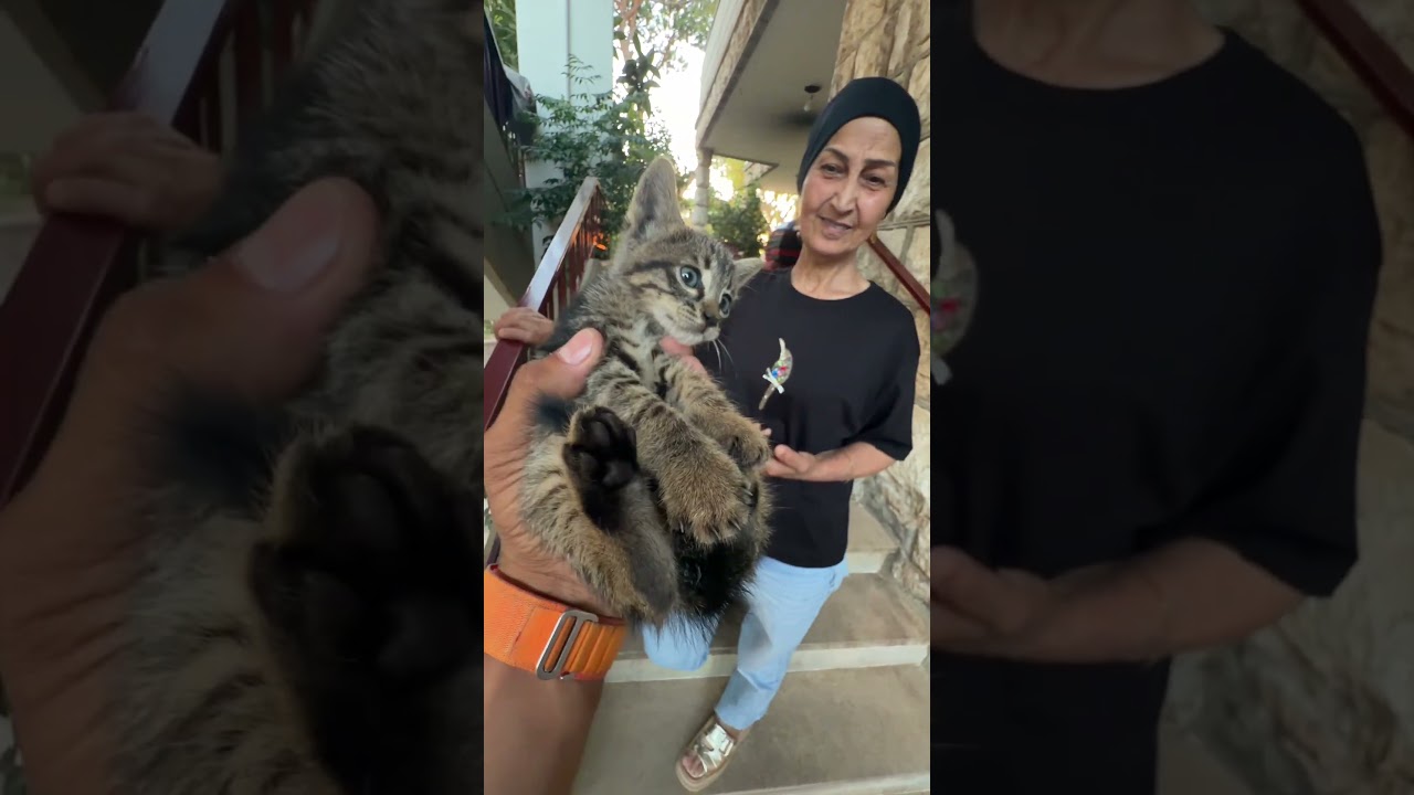 شو برايكم السبب انو دايما عم يصير مهي هيك