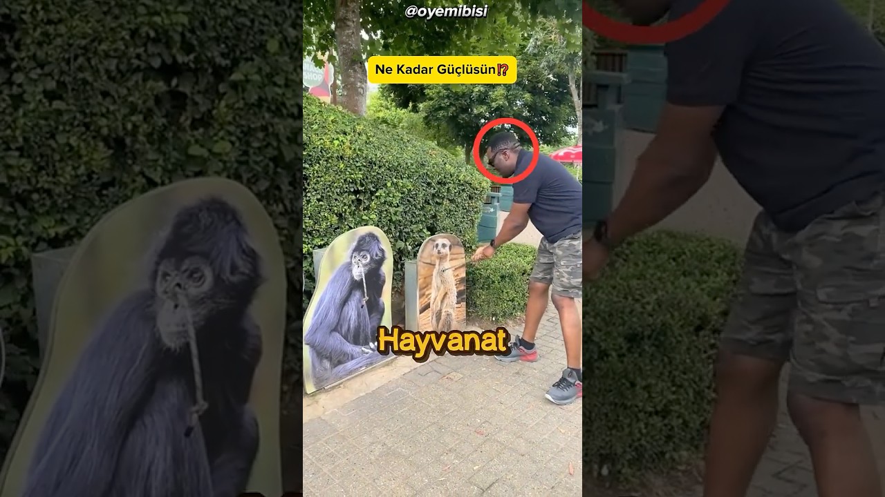 Hayvanları Merak Eden Adamın Yaşadıkları❗😂