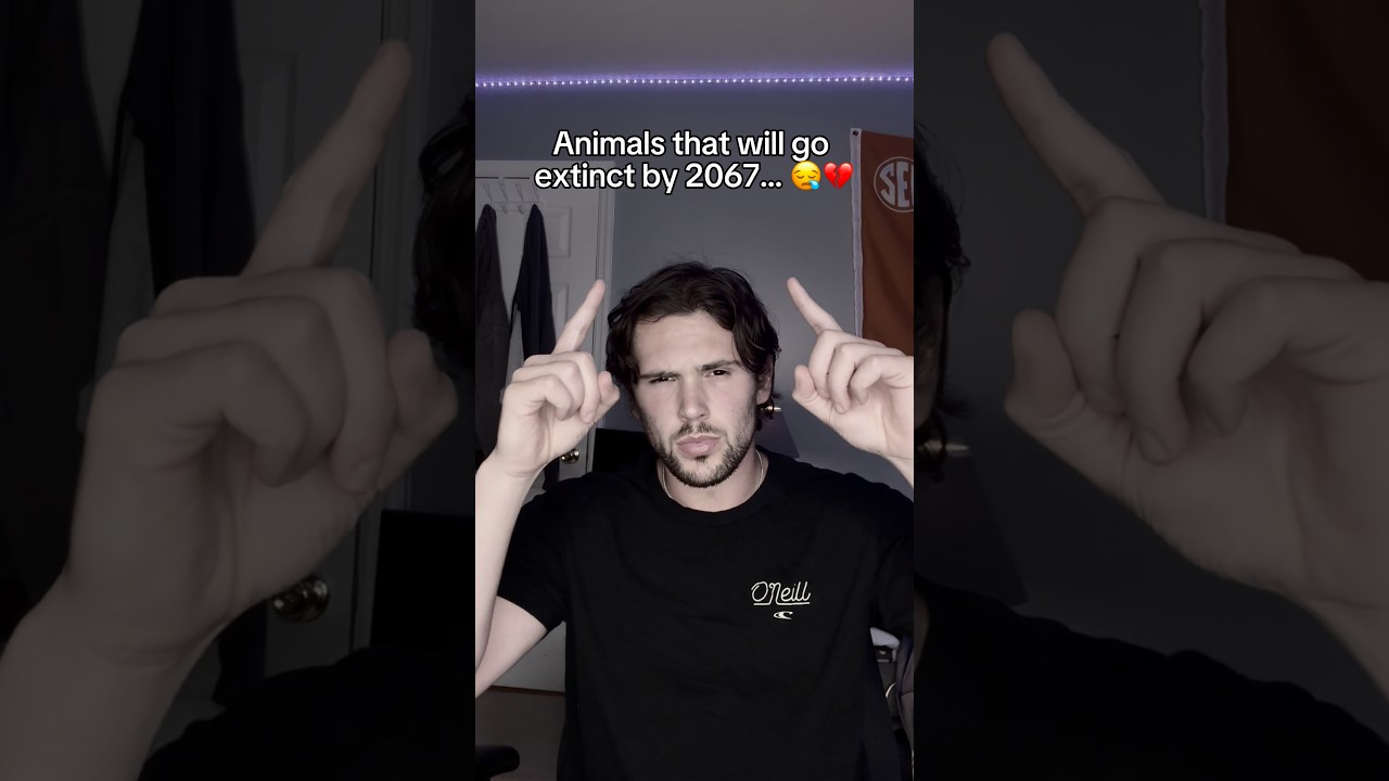 Animals that will go EXTINCT by 2067… 😪💔💔 (Emotional)