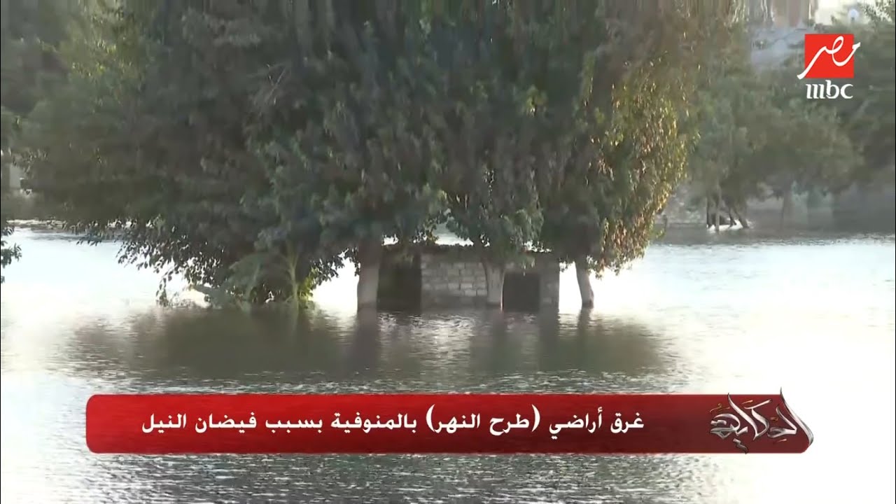 الحكاية | غرق أراضي طرح النهر في المنوفية بسبب زيادة فيضان النيل ودول مواطنين مصريين نساعدهم