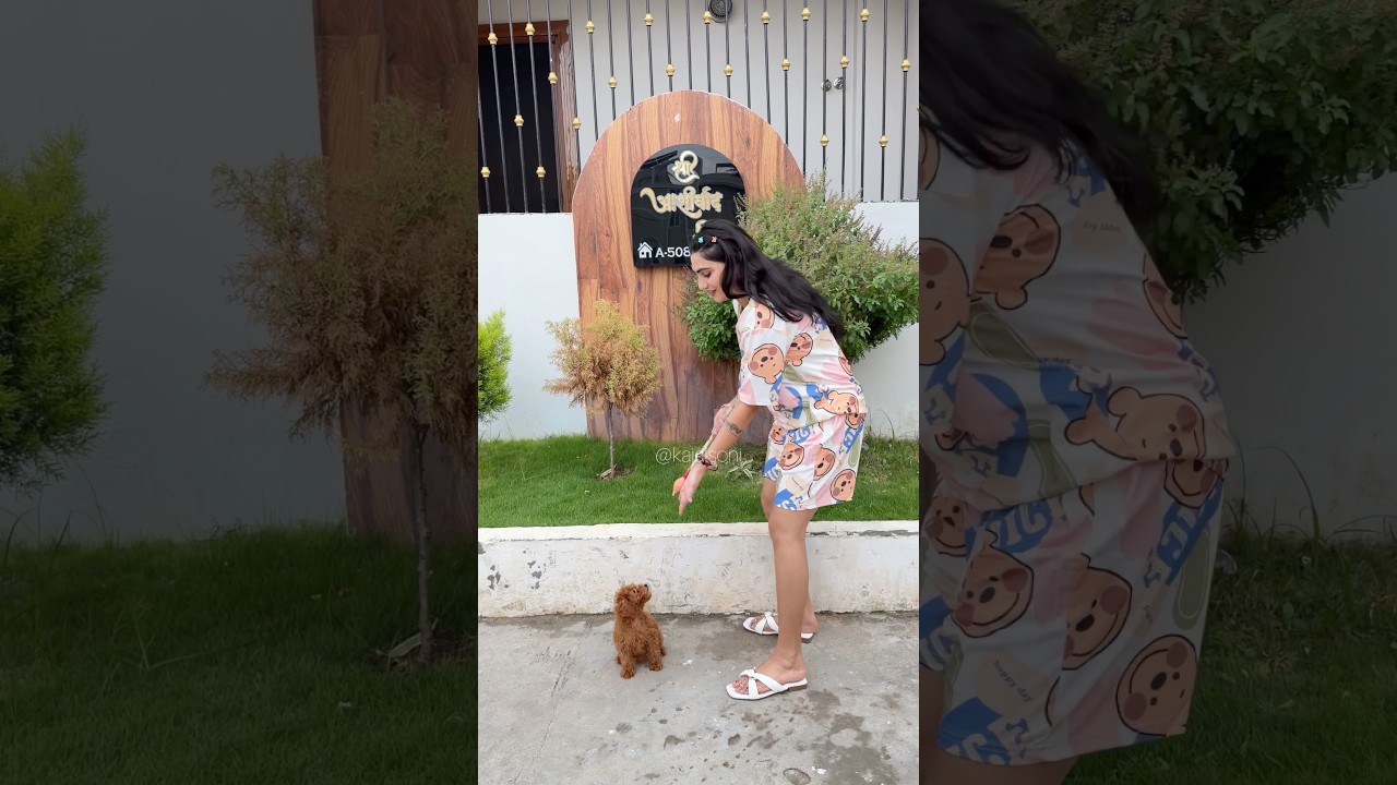 मेरी जादुई पेंसिल का कमाल🪄🐶 #youtubeshorts #shorts #viralshorts #dog @K@Kajalsoni_vlogs