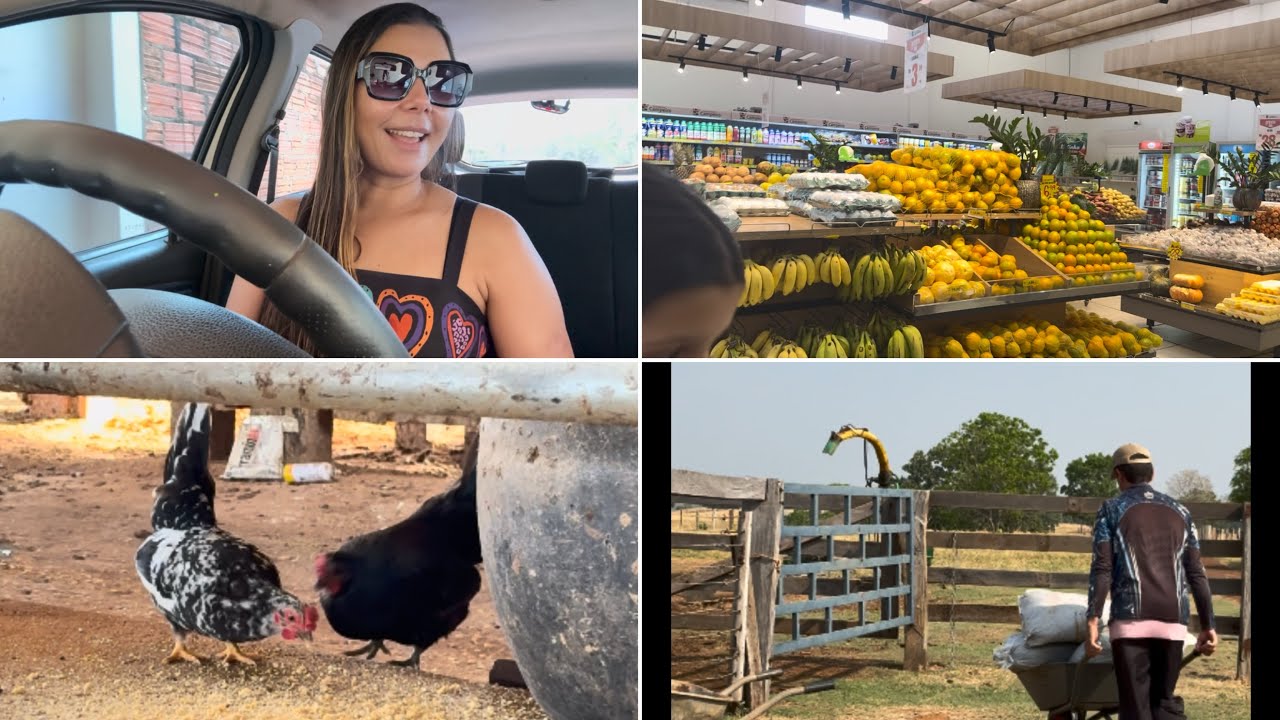 VLOG  VOLTEI | DA CIDADE pra ROÇA | 🛒 COMPRAS do Dia 🏠 | ALMOÇO | QUINTAL E  AS FRUTÍFERAS | 