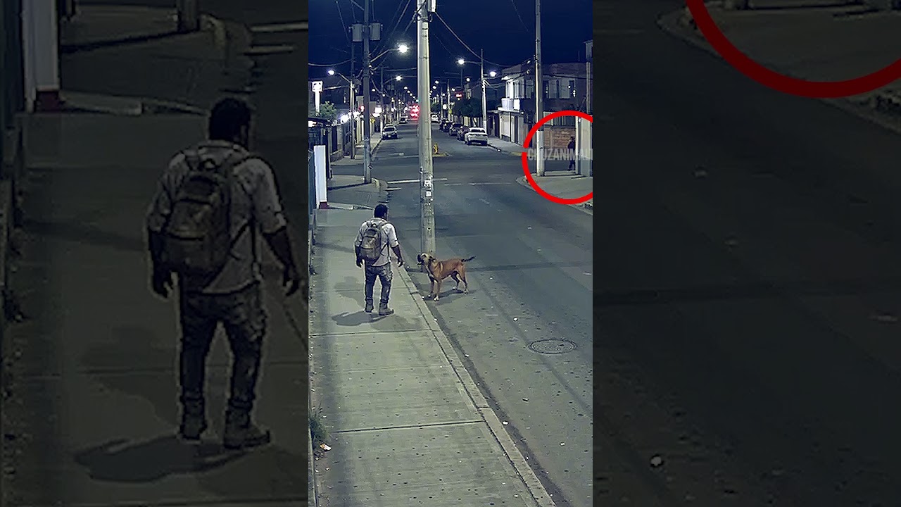 El perro le estaba advirtiendo del peligro que le esperaba o fue un milagro