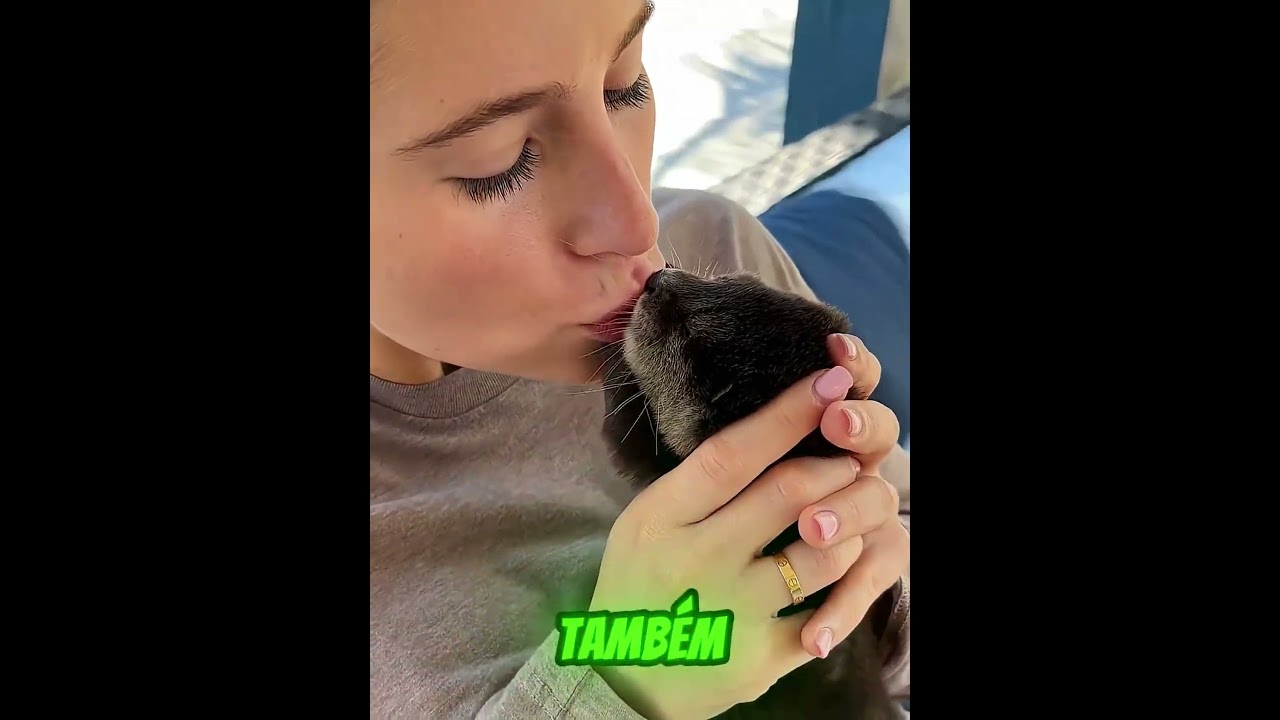 A LONTRA ESCOLHEU SEU NOVO DONO! 🥹🦦