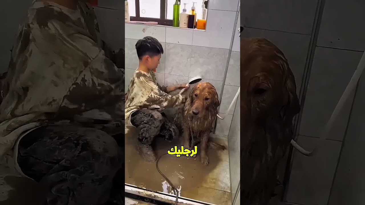 رجعت البيت انا وتومي وكنا متغرقين طين وبابا طردنا من البيت 🥺💔؟