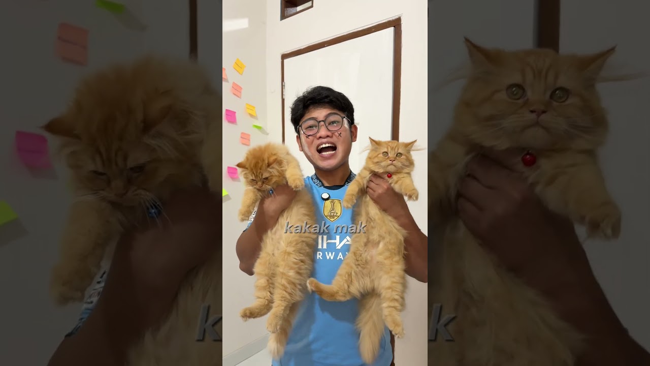 Adliy bener gak guys?