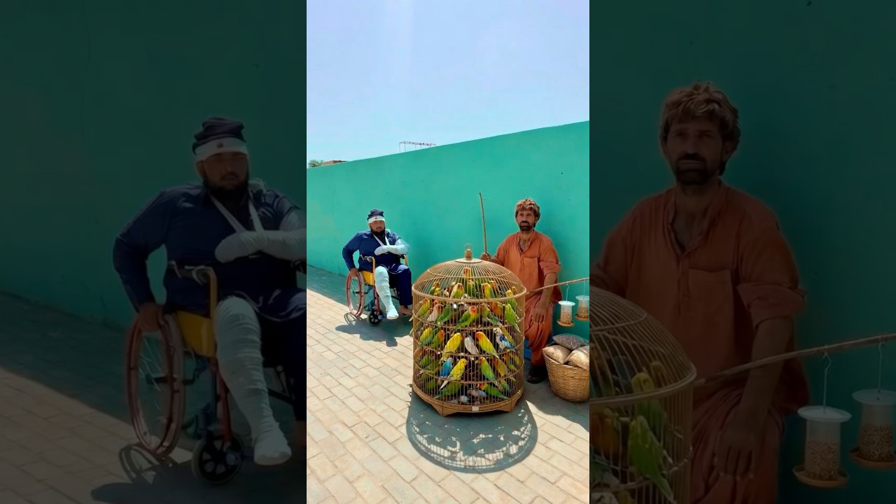 garib ka nuqsan kar dia 🙀 😢 😢