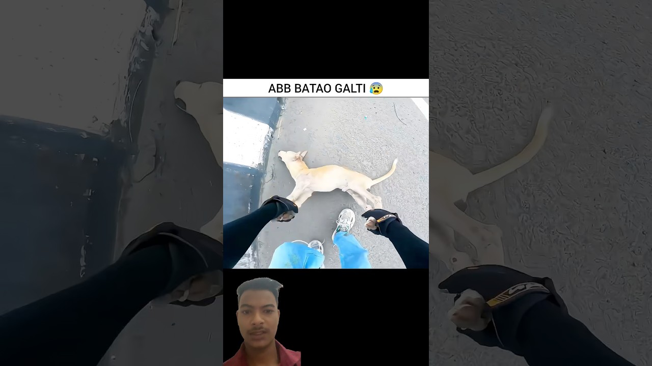 𝗣𝗿𝗮𝘆 𝗙𝗼𝗿 𝗗𝗼𝗴 🐶😰💥 𝗠𝗼𝘁𝗼𝘃𝗹𝗼𝗴𝘀 #shorts #cow #motovlog