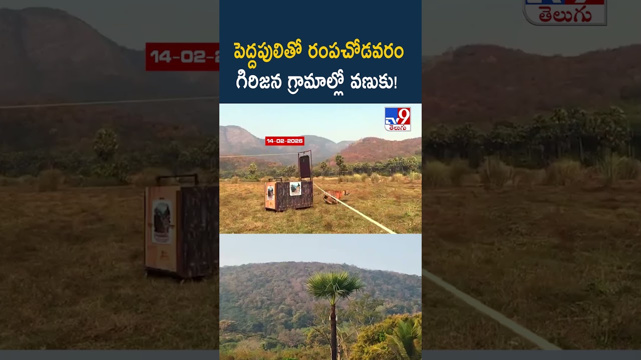 పెద్దపులితో రంపచోడవరం గిరిజన గ్రామాల్లో వణుకు! - TV9