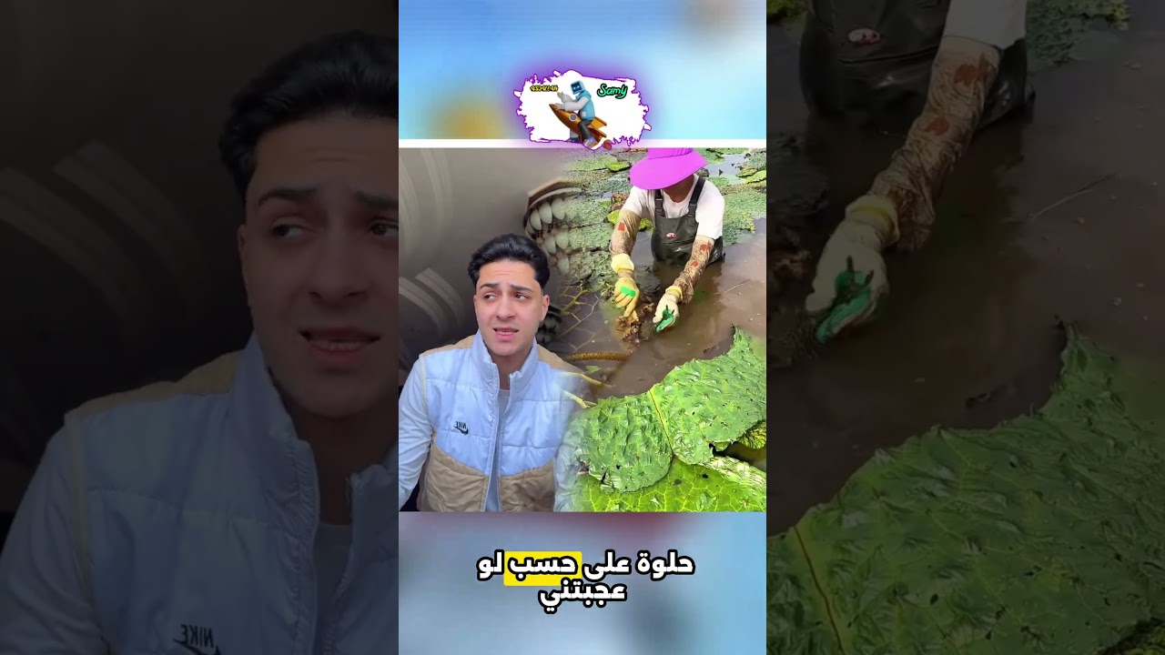 معاك سندويتشات ايه😂🤣 #عبدالله_سامي #اكسبلور #shorts