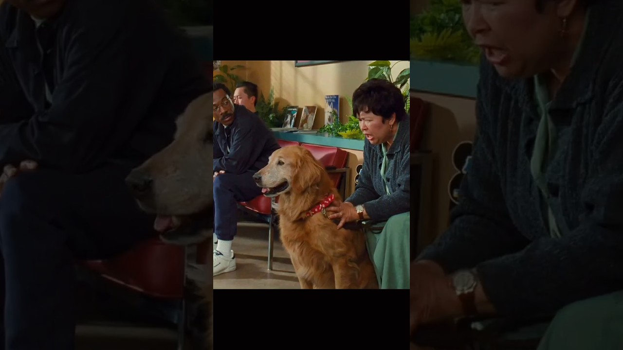 Hayvanlarla Konuşmak Kolaydı Ama Saklamak Zordu 🐶😂