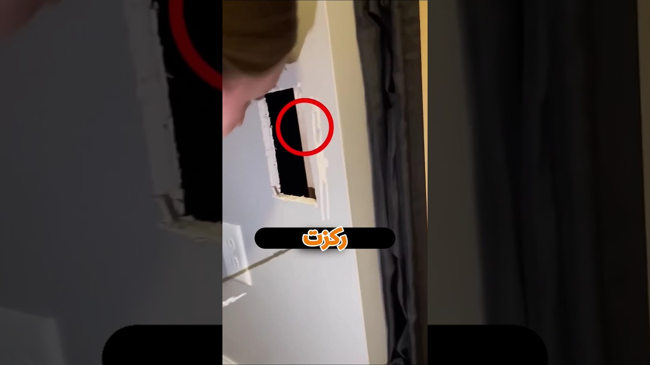 سمعت صوت من جوه الحيطة.. ولما فتحتها لقت قطة ! 😱🐱