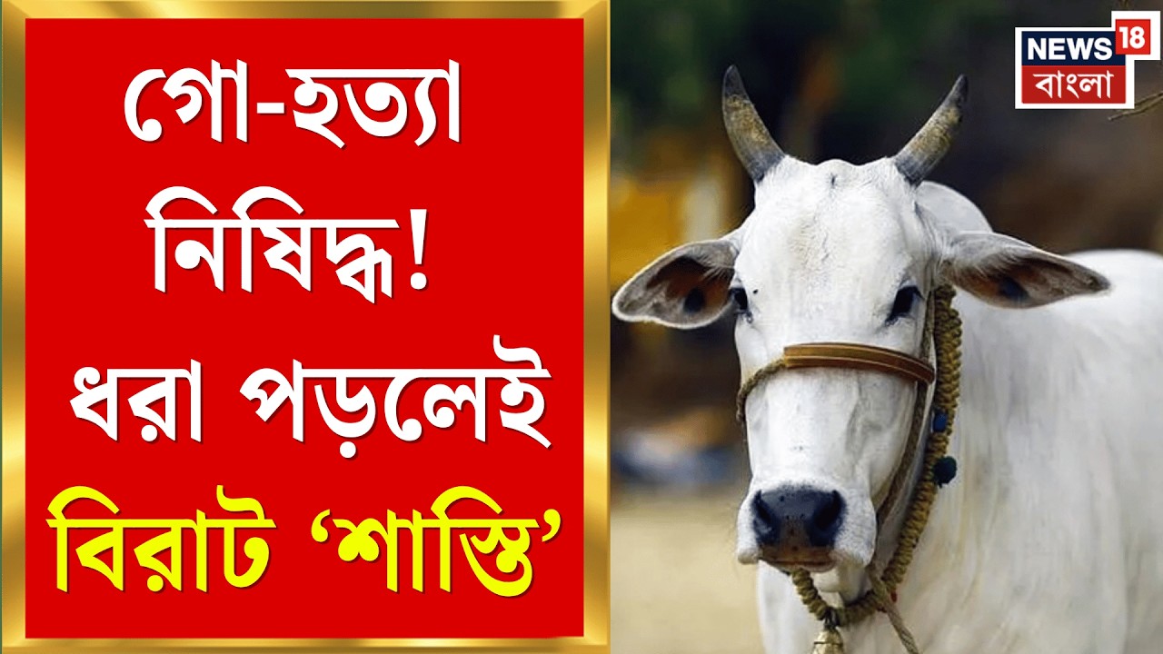 West Bengal News | গরু-মোষ হত্যা নিয়ে কড়া নির্দেশিকা রাজ্যের! সরকারি নির্দেশ অমান্য করলেই যা হবে |