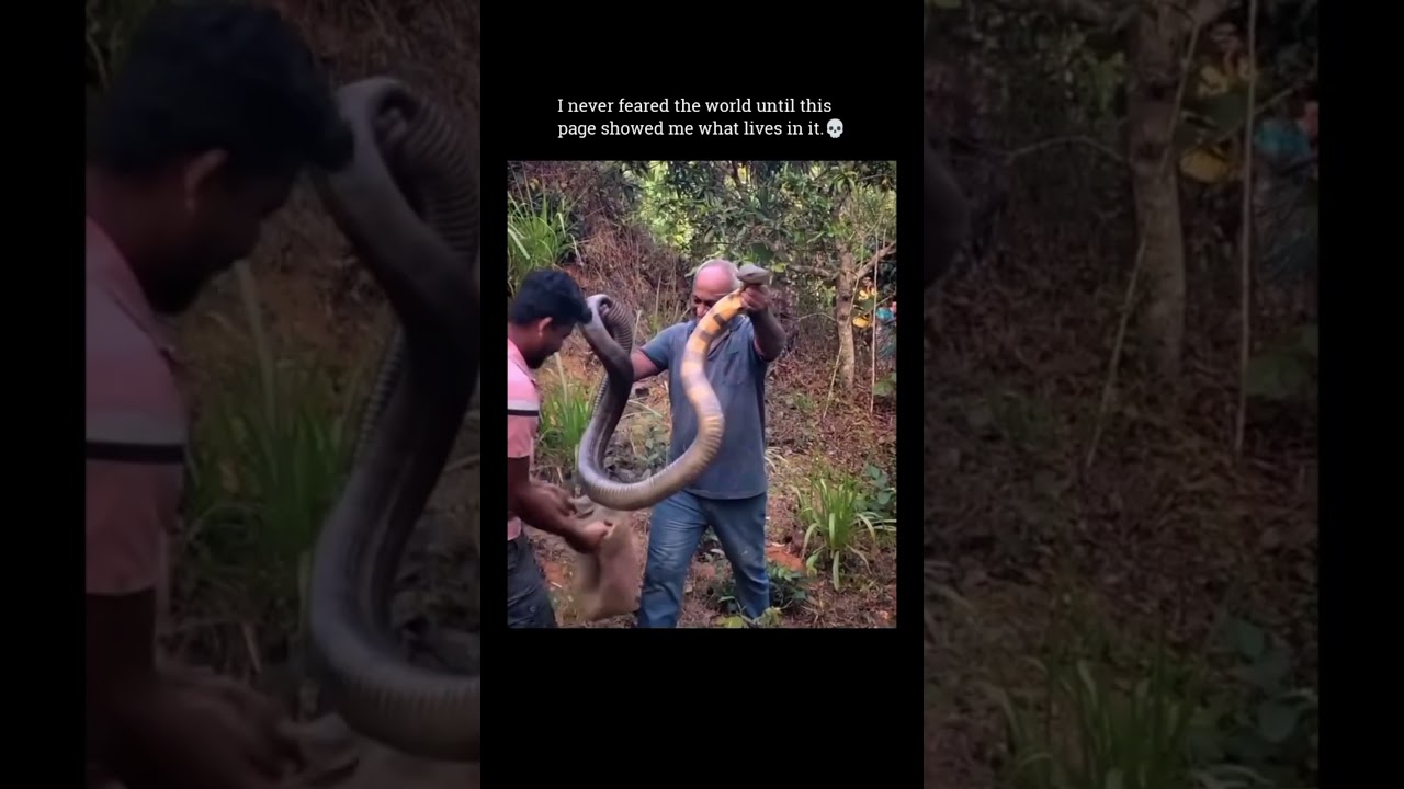 I never feared the world until this page showed me what lives in it.❤️‍🩹