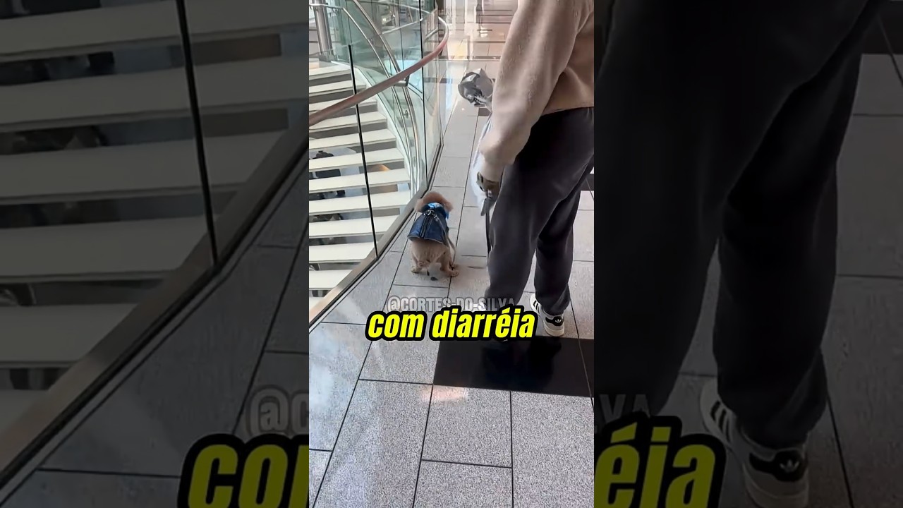 CACHORRO sujou o shopping e a dona tentou FUGIR 🐕 Biólogo Henrique DETONA: Depois quis processar